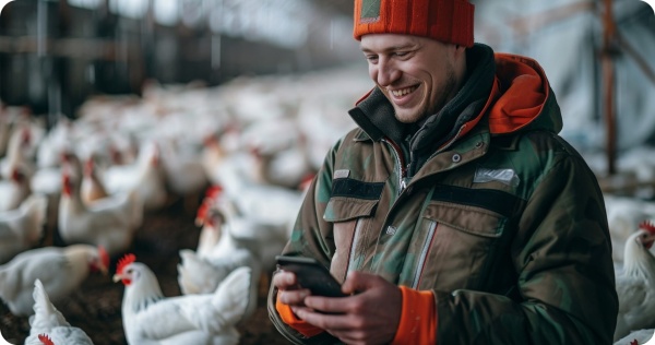 Доставка оборудования для птицеводства и животноводства из Европы